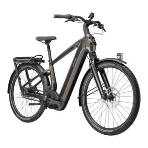 E-Bike Cannondale MAVARO 2  29" City 2025