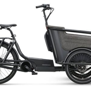 Batavus Fier-3 Env 500 Wh 20 Zoll Dreirad